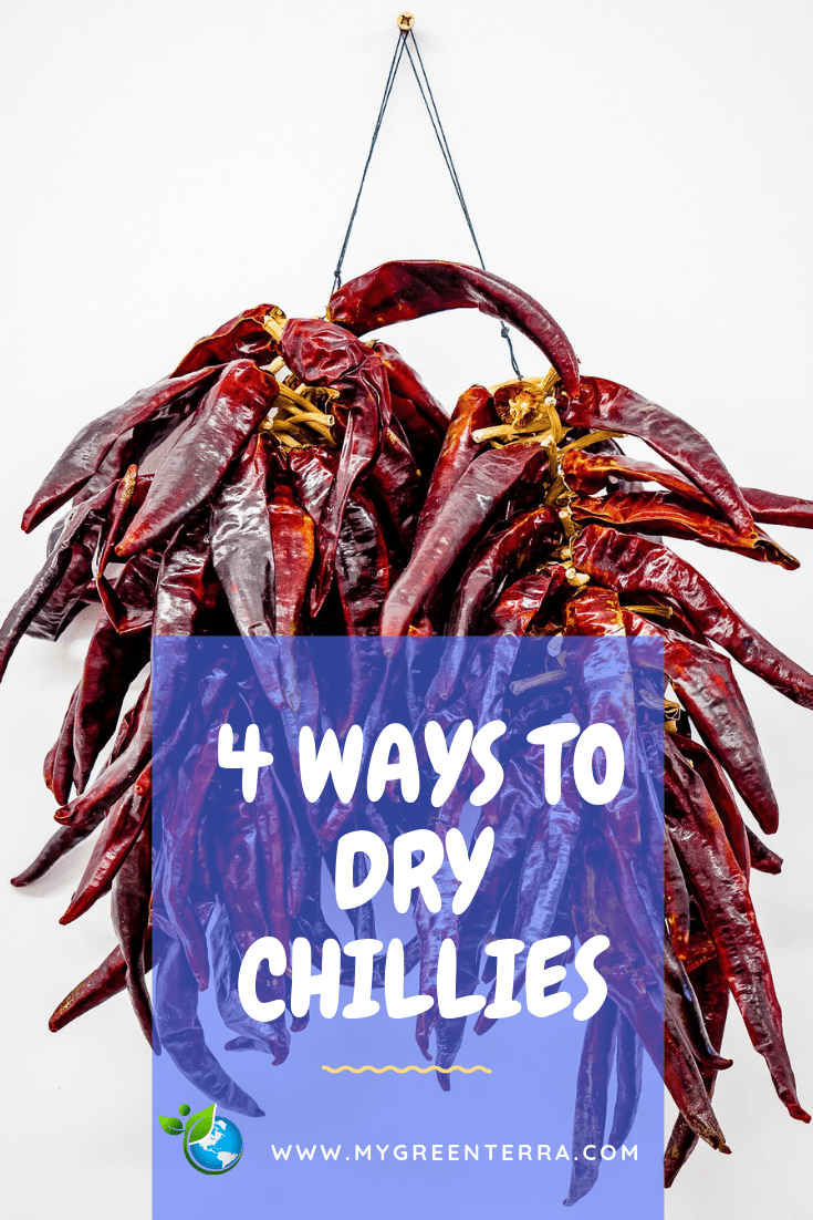 4 Ways To Dry Chillies