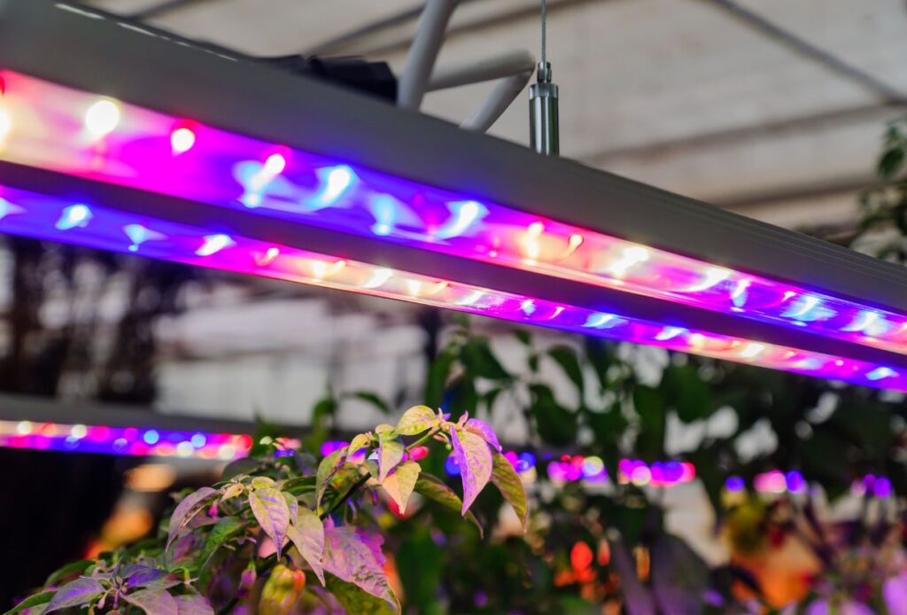 Are LED Lights Good For Hydroponics?