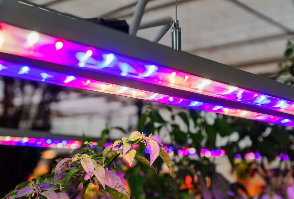Are LED Lights Good For Hydroponics? Are LED Lights Good For Hydroponics?