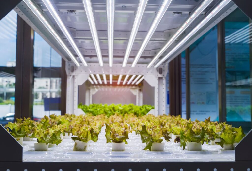 Are LED Lights Good For Hydroponics? Are LED Lights Good For Hydroponics?