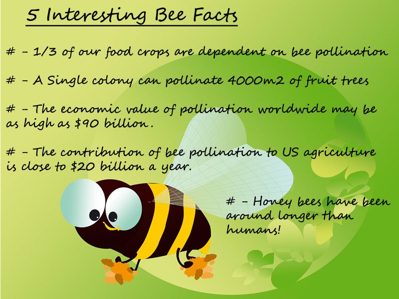 Boost Your Crop Yield With a Partnership With Bees Partnering with Bees