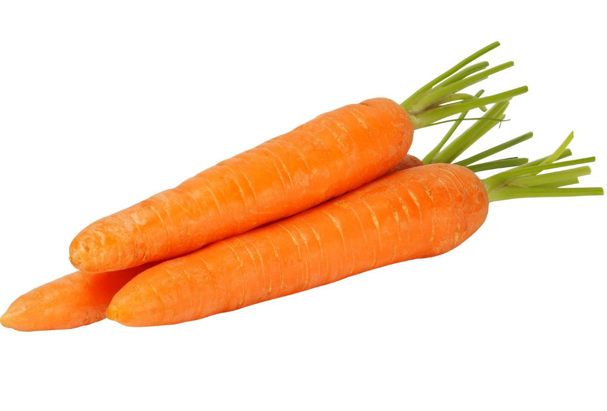 Can You Grow Carrots In Hydroponics?