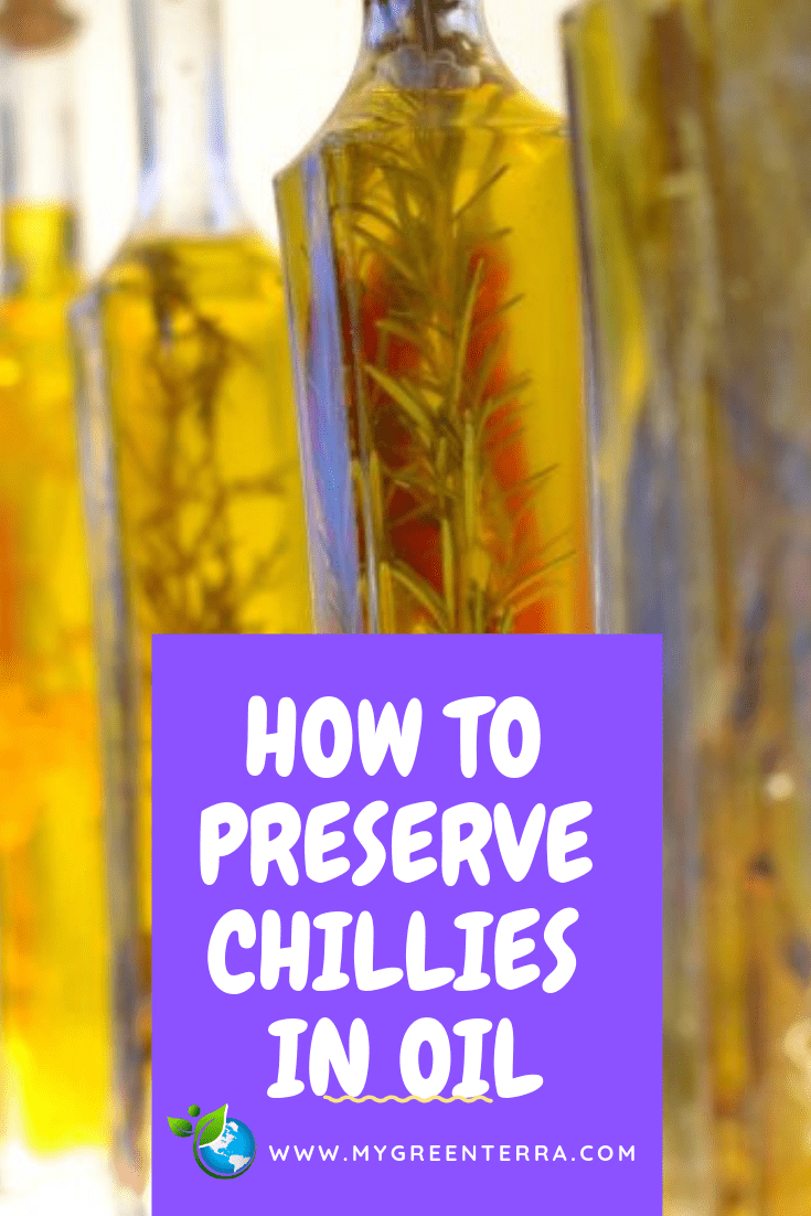 How To Preserve Chillies In Oil