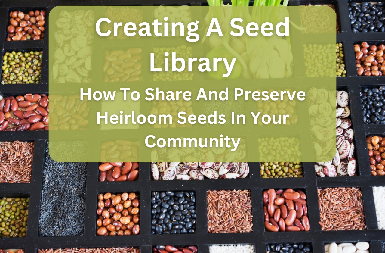 Creating A Seed Library