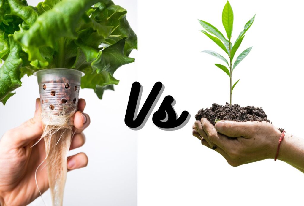 Does Hydroponics Use Less Water?