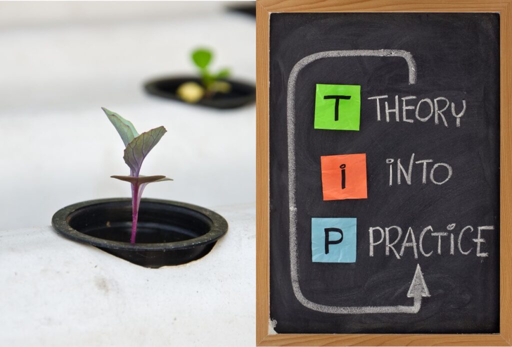 Does Hydroponics Use Less Water? The Ultimate Guide Does Hydroponics Use Less Water?