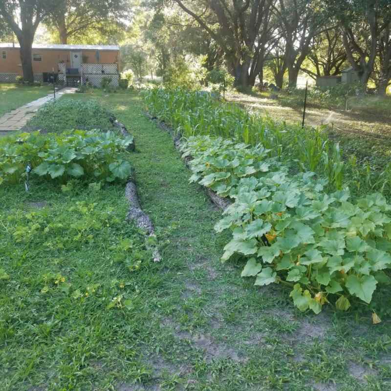 Experimental Garden