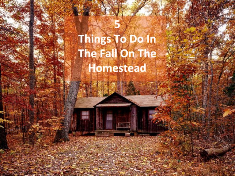 Fall on the Homestead