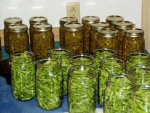 Fermented Beans