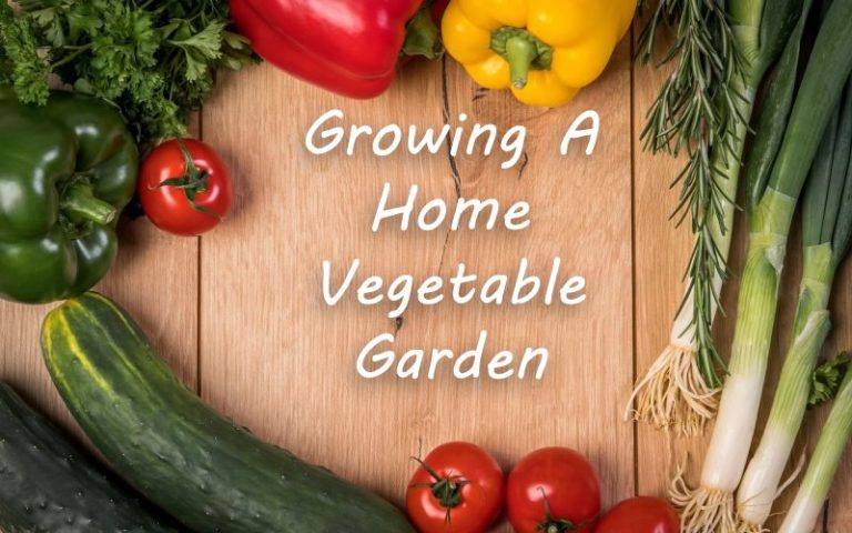 Growing A Home Vegetable Garden