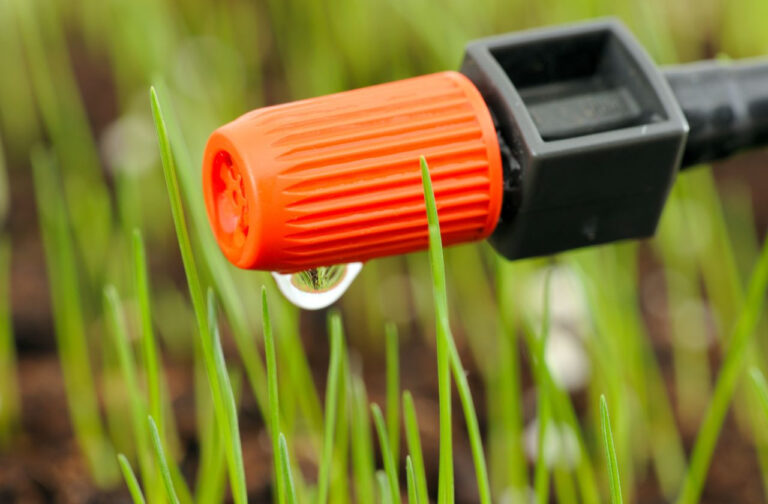 How Do Drip Hydroponics Work?
