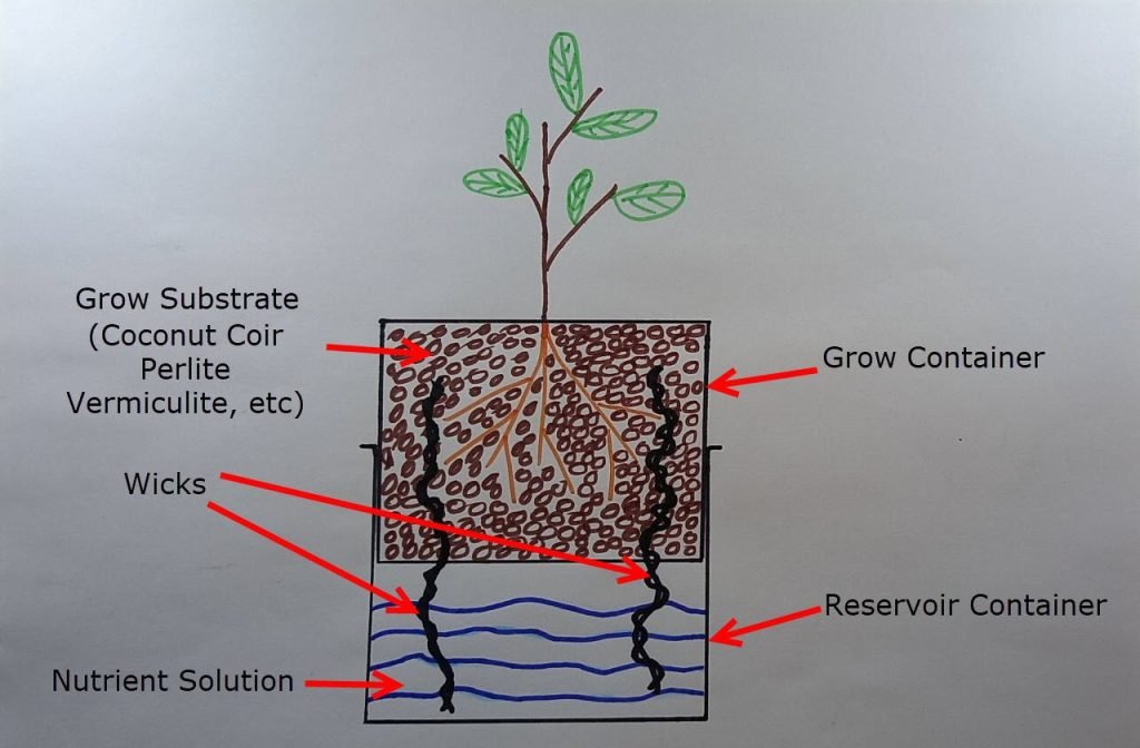 How Do Wick Hydroponics Work?