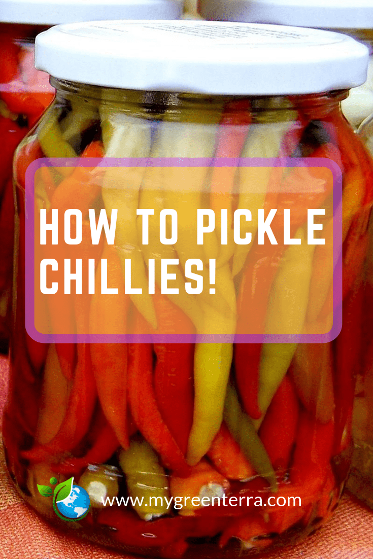 How To Pickle Chillies