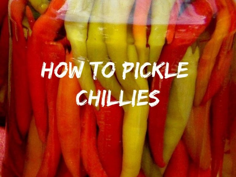 How To Pickle Chillies