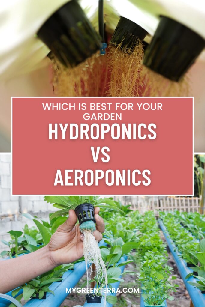 Hydroponics Vs Aeroponics Hydroponics Vs Aeroponics
