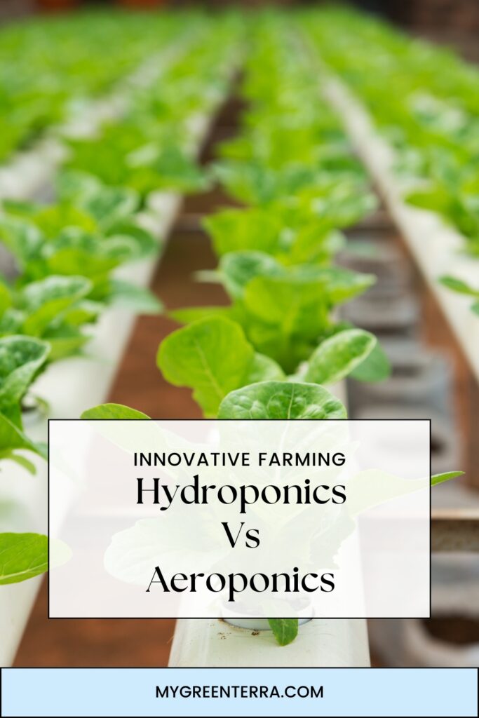 Hydroponics Vs Aeroponics Hydroponics Vs Aeroponics