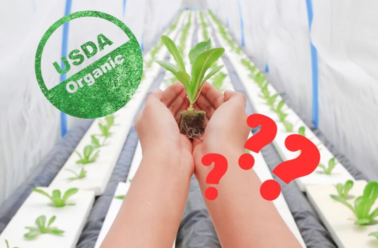 Is Hydroponics Organic?