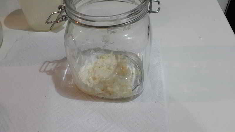 Kefir Grains