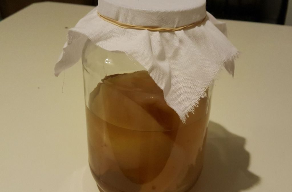 Kombucha Tea