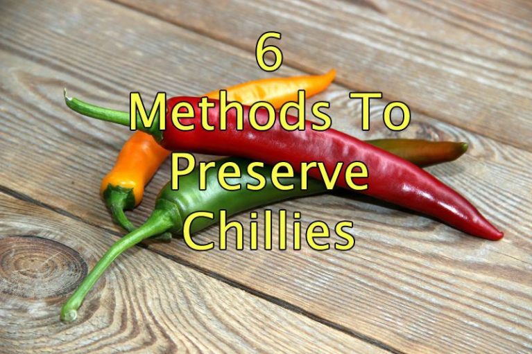 4 Ways To Dry Chillies MyGreenTerra
