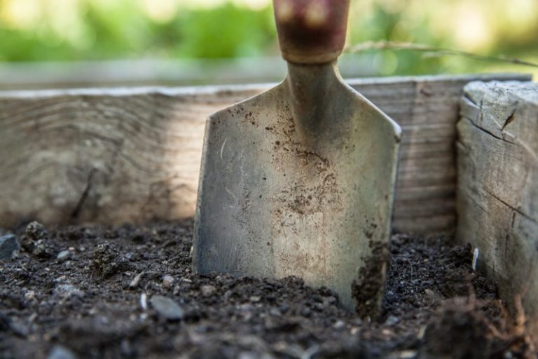 Soil Acidity