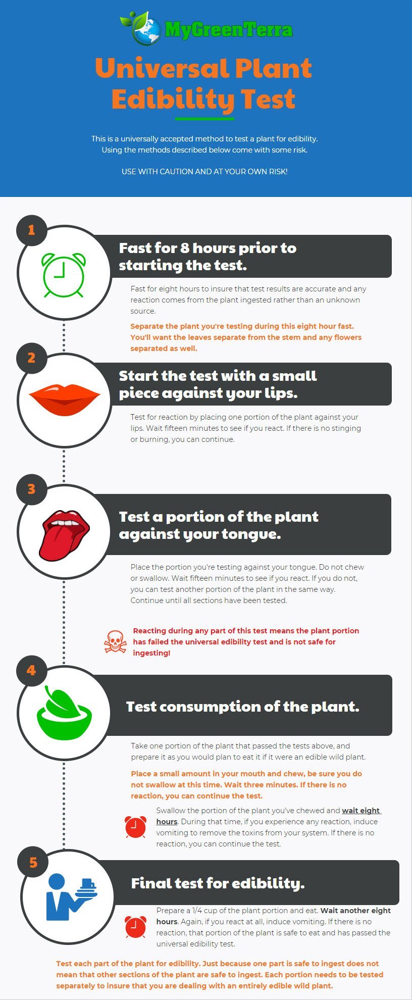 Guidelines For Foraging For Wild Edibles