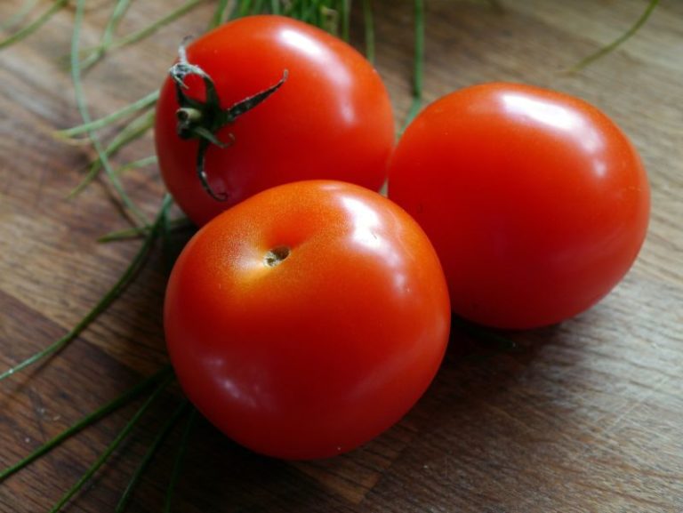 Tips for Tomato Growing