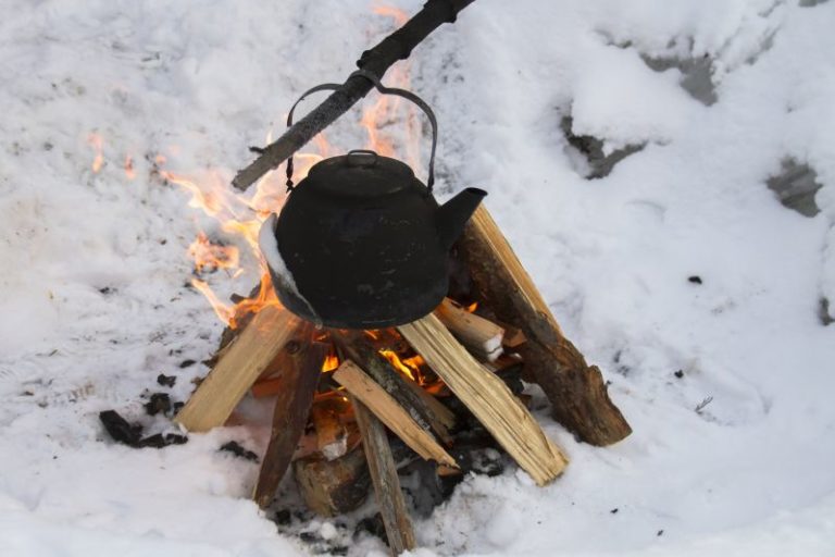 Backyard Survival Skill