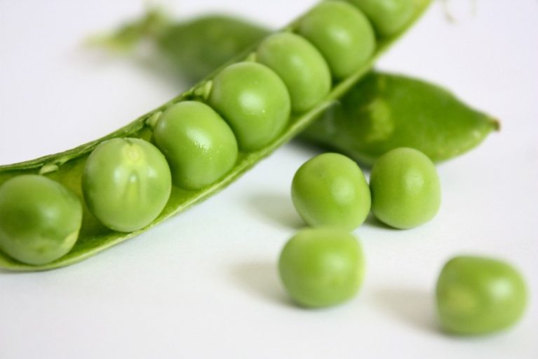5 Tips To Grow Peas In Your Garden